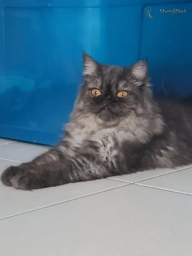 Another photo of Rikha