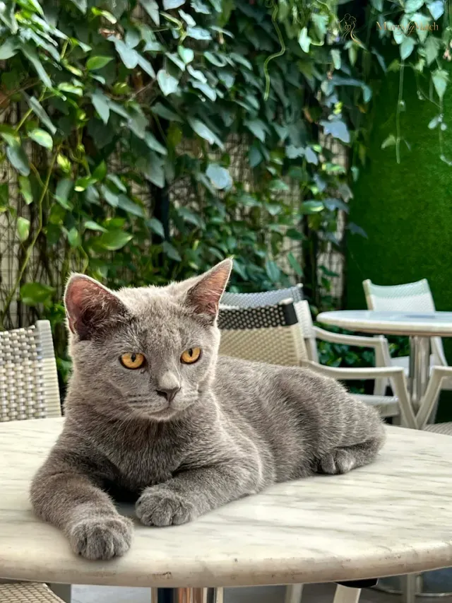 Another photo of Zette