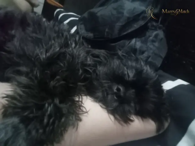 Another photo of Regine