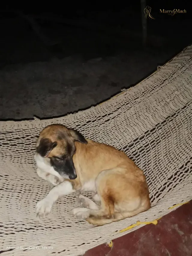Another photo of Rosemarie