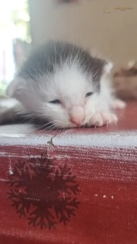 Another photo of Abigail